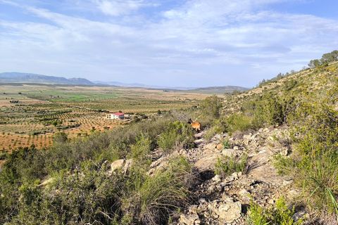 Helårsgrund i Yecla, Murcia, Yecla - € 240.000 | Ref: 70108 - foto 2
