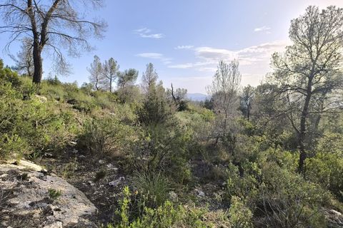 Helårsgrund i Yecla, Murcia, Yecla - € 240.000 | Ref: 70108 - foto 3