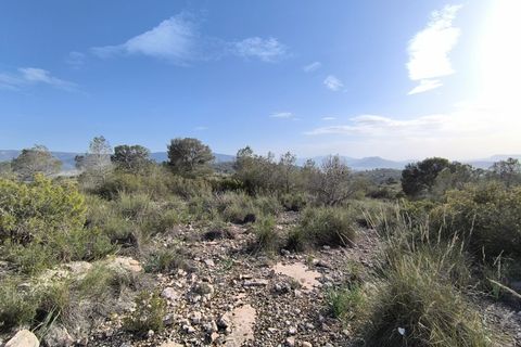 Helårsgrund i Yecla, Murcia, Yecla - € 240.000 | Ref: 70108 - foto 4