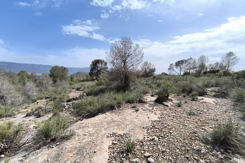 Helårsgrund i Yecla, Murcia, Yecla - € 240.000 | Ref: 70108 - foto 6