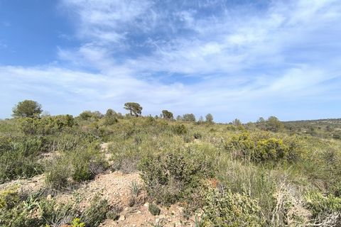 Helårsgrund i Yecla, Murcia, Yecla - € 240.000 | Ref: 70108 - foto 7
