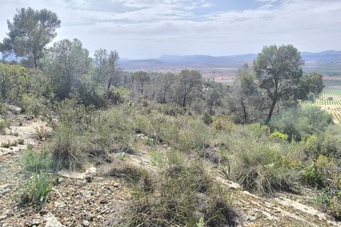 Helårsgrund i Yecla, Murcia, Yecla - € 240.000 | Ref: 70108 - foto 10