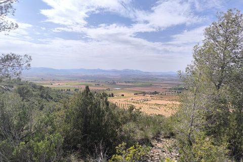 Helårsgrund i Yecla, Murcia, Yecla - € 240.000 | Ref: 70108 - foto 11