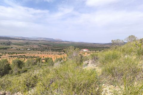 Helårsgrund i Yecla, Murcia, Yecla - € 240.000 | Ref: 70108 - foto 12