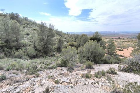 Helårsgrund i Yecla, Murcia, Yecla - € 240.000 | Ref: 70108 - foto 13