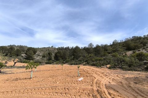 Helårsgrund i Yecla, Murcia, Yecla - € 240.000 | Ref: 70108 - foto 14