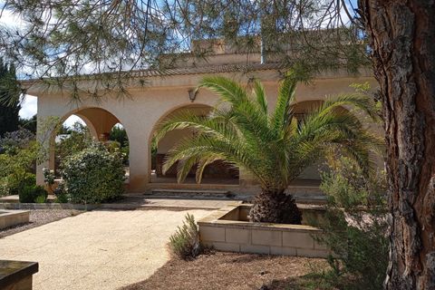 Villa i Yecla, Murcia, Yecla - € 299.900 | Ref: 40074-PB - foto 5
