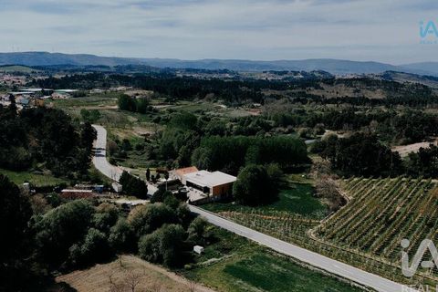 Byhus i Moimenta da Beira, Viseu, Moimenta da Beira - € 395.000 | Ref: 161375 - foto 4