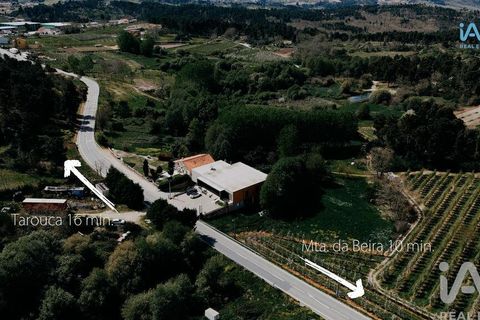 Byhus i Moimenta da Beira, Viseu, Moimenta da Beira - € 395.000 | Ref: 161375 - foto 19