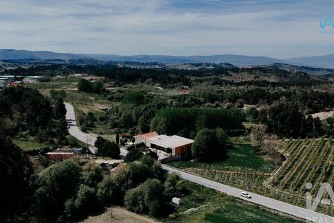 Byhus i Moimenta da Beira, Viseu, Moimenta da Beira - € 395.000 | Ref: 161375 - foto 22