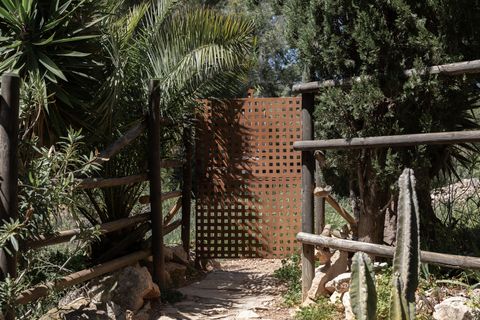 Lejlighed i Calvia, Mallorca, Calvia - € 960.000 | Ref: SPCRM4915 - foto 38