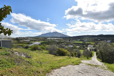 Villa en Coin, Malaga, Coin - € 565.000 | Ref: R5324911 - photo 2
