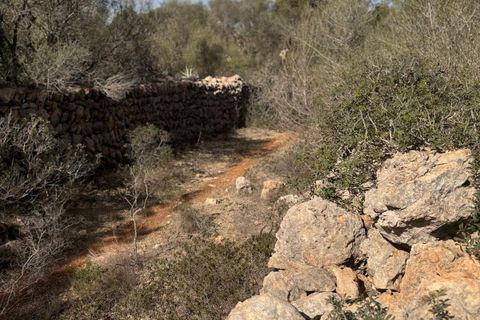 Terreno en Campos, Mallorca, Campos - € 3.755.000 | Ref: SWOCAM0400 - photo 14