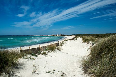 Terreno en Campos, Mallorca, Campos - € 3.755.000 | Ref: SWOCAM0400 - photo 17