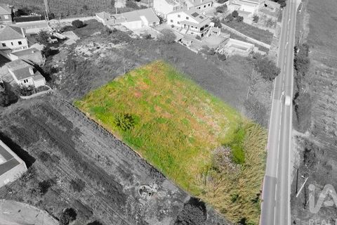Helårsgrund i Cadaval, Lisbon, Cadaval - € 69.000 | Ref: 864528 - foto 3