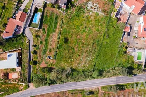 Helårsgrund i Cadaval, Lisbon, Cadaval - € 69.000 | Ref: 864528 - foto 12