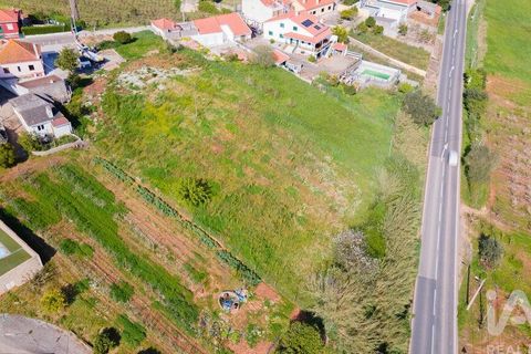 Helårsgrund i Cadaval, Lisbon, Cadaval - € 69.000 | Ref: 864528 - foto 15