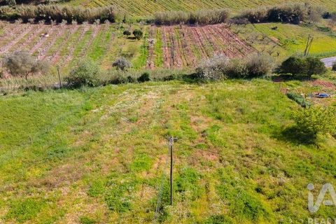 Helårsgrund i Cadaval, Lisbon, Cadaval - € 69.000 | Ref: 864528 - foto 22