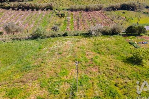 Helårsgrund i Cadaval, Lisbon, Cadaval - € 69.000 | Ref: 864528 - foto 23