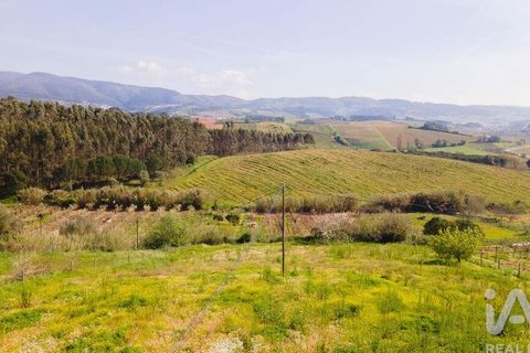 Helårsgrund i Cadaval, Lisbon, Cadaval - € 69.000 | Ref: 864528 - foto 26
