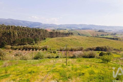 Helårsgrund i Cadaval, Lisbon, Cadaval - € 69.000 | Ref: 864528 - foto 27
