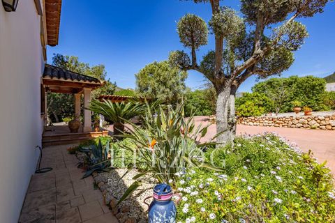 Villa i Andratx, Mallorca, Andratx - € 1.175.000 | Ref: 1238 - foto 22