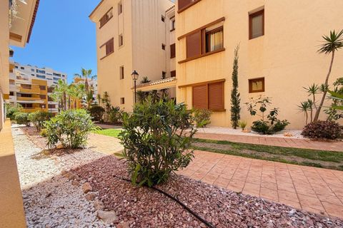 Leilighet i Torrevieja, Alicante, Torrevieja - € 289 000 | Ref: A11348/6084 - foto 32