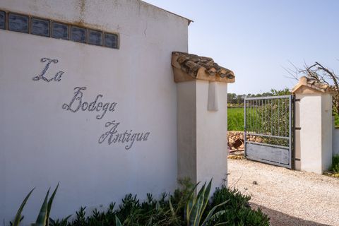 Landejendom i Raspay, Murcia, Raspay - € 299.950 | Ref: CF3327 - foto 6