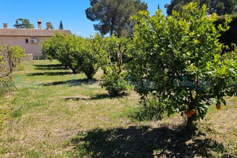 Villa en Ontinyent, Valencia, Ontinyent - € 465.000 | Ref: Your Private Paradise - photo 50