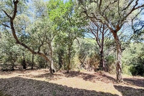 Villa i Sant Antoni De Calonge, Gerona, Sant Antoni De Calonge - € 435.000 | Ref: 071.V - foto 33