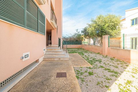 Lejlighed i Calvia, Mallorca, Calvia - € 320.000 | Ref: 41810009_MG/11003 - foto 14