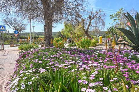 Lejlighed i Calvia, Mallorca, Calvia - € 320.000 | Ref: 41810009_MG/11003 - foto 16