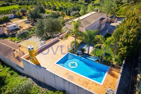 Farm i Paderne, Faro, Paderne - € 1.850.000 | Ref: QA-25 (PR-068) - foto 5