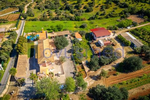 Farm i Paderne, Faro, Paderne - € 1.850.000 | Ref: QA-25 (PR-068) - foto 10