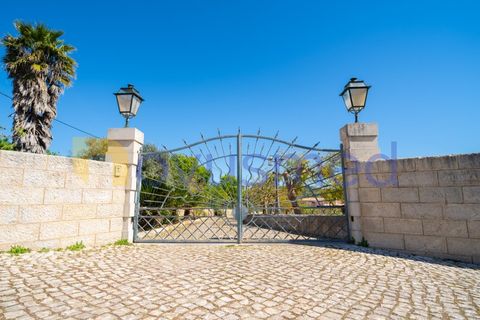 Farm i Paderne, Faro, Paderne - € 1.850.000 | Ref: QA-25 (PR-068) - foto 13