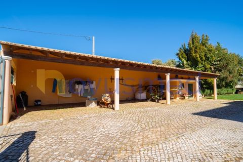 Farm i Paderne, Faro, Paderne - € 1.850.000 | Ref: QA-25 (PR-068) - foto 40