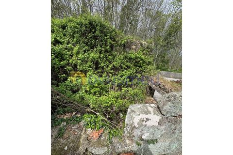 Ruïna a Vouzela, Viseu, Vouzela - € 30.000 | Ref: QA-27 (PR-127) - foto 15