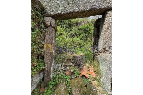 Ruïna a Vouzela, Viseu, Vouzela - € 30.000 | Ref: QA-27 (PR-127) - foto 22