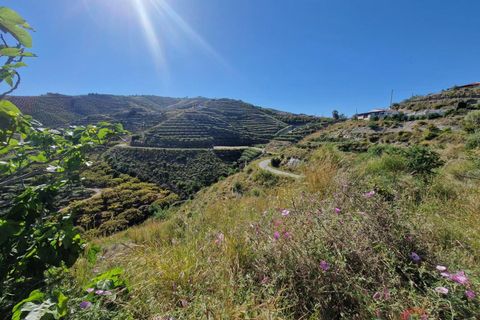 Terra a Salobrena, Granada, Salobrena - € 46.000 | Ref: MG723 - foto 3