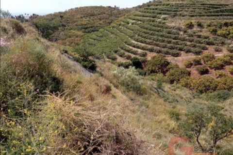 Terra a Salobrena, Granada, Salobrena - € 46.000 | Ref: MG723 - foto 5