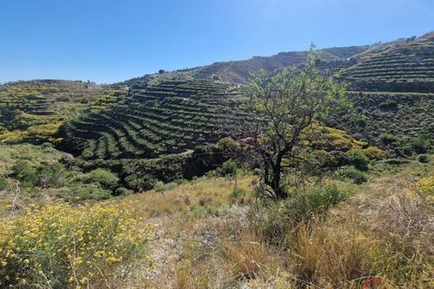 Terra a Salobrena, Granada, Salobrena - € 46.000 | Ref: MG723 - foto 7