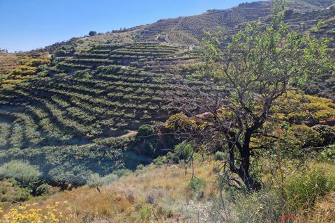 Terra a Salobrena, Granada, Salobrena - € 46.000 | Ref: MG723 - foto 8