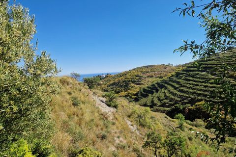 Terra a Salobrena, Granada, Salobrena - € 46.000 | Ref: MG723 - foto 10