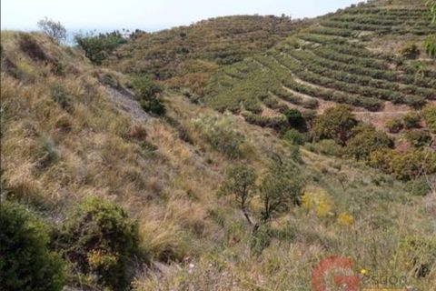 Terra a Salobrena, Granada, Salobrena - € 46.000 | Ref: MG723 - foto 15