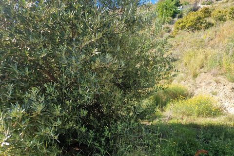 Terra a Salobrena, Granada, Salobrena - € 46.000 | Ref: MG723 - foto 16