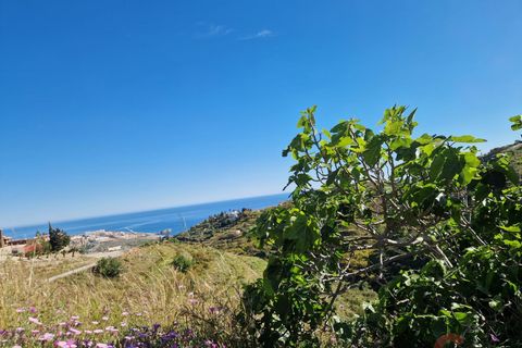 Terra a Salobrena, Granada, Salobrena - € 46.000 | Ref: MG723 - foto 17