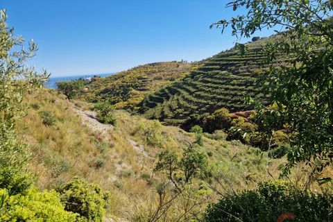 Terra a Salobrena, Granada, Salobrena - € 46.000 | Ref: MG723 - foto 22