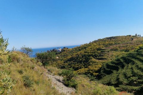 Terra a Salobrena, Granada, Salobrena - € 46.000 | Ref: MG723 - foto 23