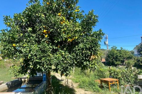 Byhus i Chamusca, Santarem, Chamusca - € 249.500 | Ref: 869389 - foto 27