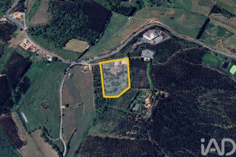 Byhus i Cadaval, Lisbon, Cadaval - € 460.000 | Ref: 875980 - foto 8